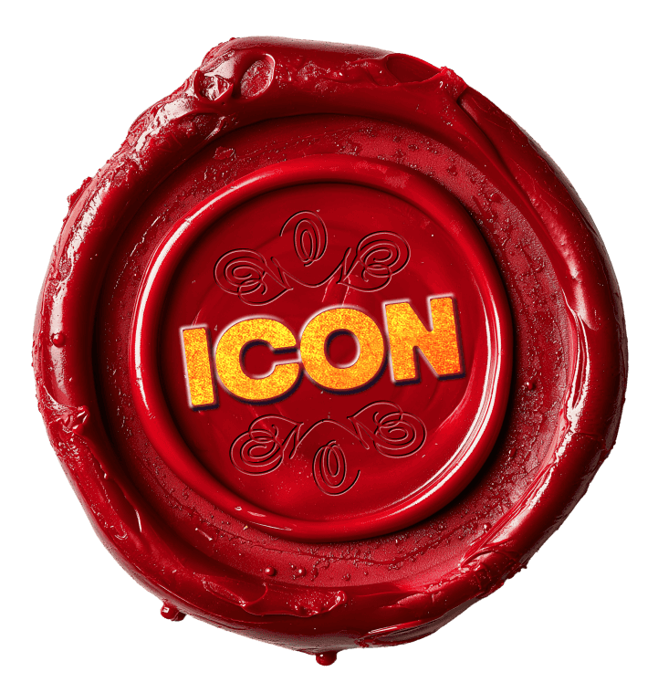 icon logo